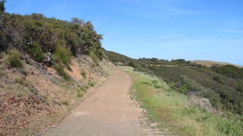 Dirt hiking trail climbing a green hillside on the Bald Mountain Trail in Sierra Azul Open Space Preserve, south of San Jose